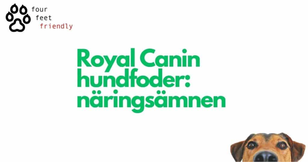 Royal Canin hundfoder: Näringsämnen